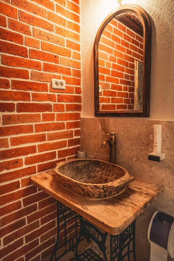 Hotel Conacul Sfantul Sava Brancovici Ineu  Exteriér fotografie