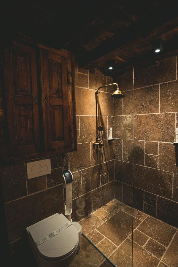 Hotel Conacul Sfantul Sava Brancovici Ineu  Exteriér fotografie