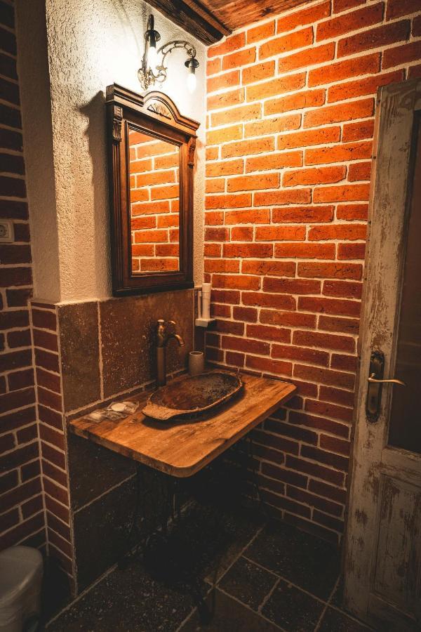 Hotel Conacul Sfantul Sava Brancovici Ineu  Exteriér fotografie